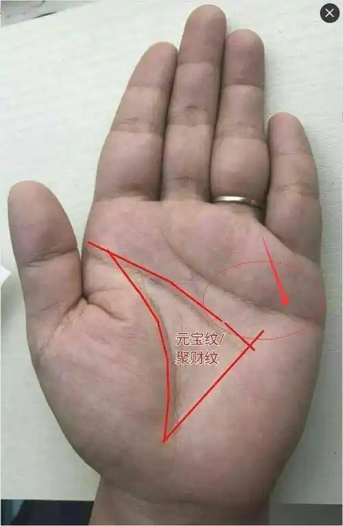 女人越来越富享福的手型,有你吗?