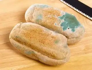 会让你越吃越老四类食物!一定要远离