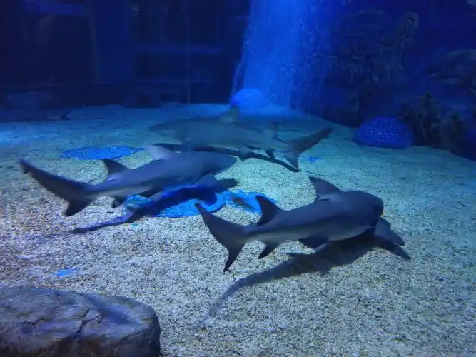 成都.浩海立方海洋馆