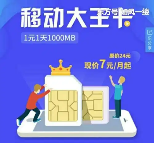 中国移动推出移动大王卡1元1天1000m 包含30g全国视频