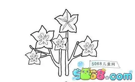 花草植物简笔画-月季花 - 5068儿童网