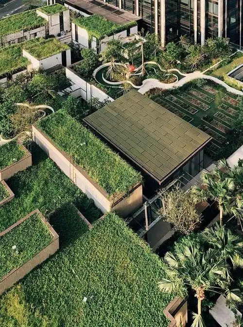 屋顶农场成新潮流:每户租1㎡种菜,果蔬不断|菜园|农园|田地|种植_网易