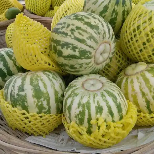 花皮的甜瓜是北方的品种,酥甜可口.