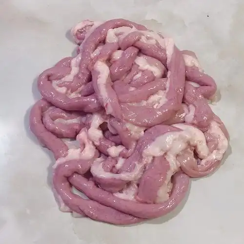 新鲜猪粉肠阿豪人家猪天天新鲜人家猪土货带油猪粉肠猪小肠苦肠发省外