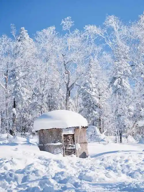 北国冬季旅行:探寻哈尔滨,亚布力,雪村浪漫雪景_中央大街_雪乡_day
