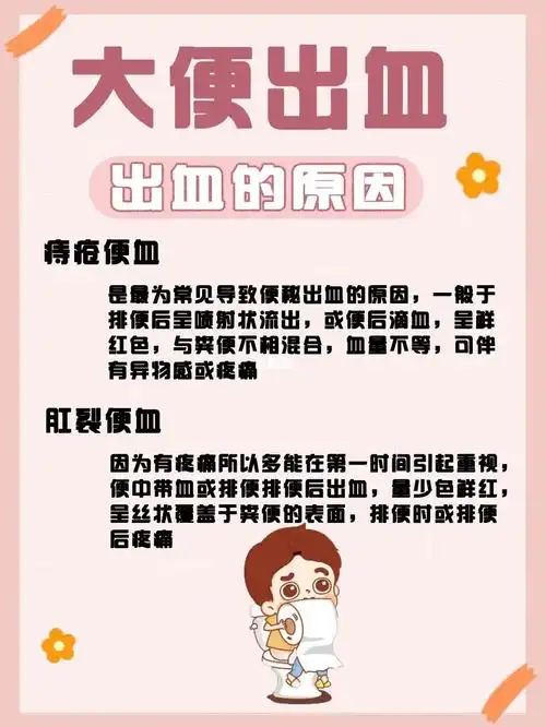 大便出血,带侬血 怎么办?