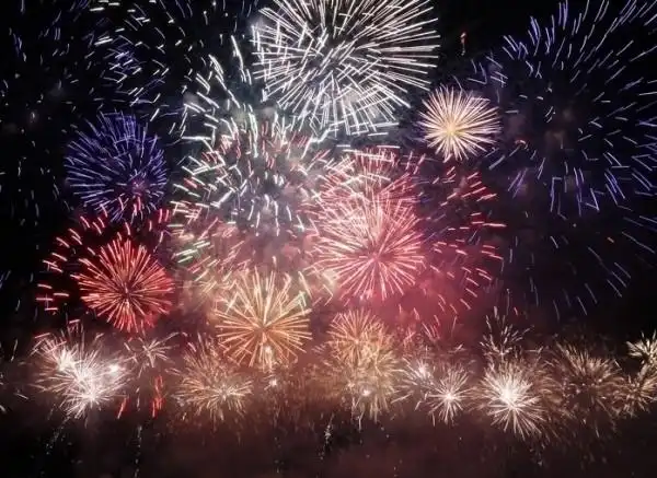 100发组合礼花出口礼花组合盆花燃放烟花春节烟花1.2寸礼花