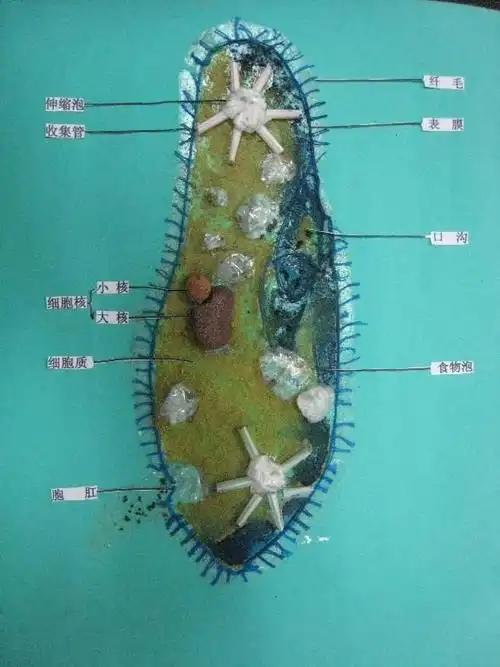 18年新发5篇 - 知乎