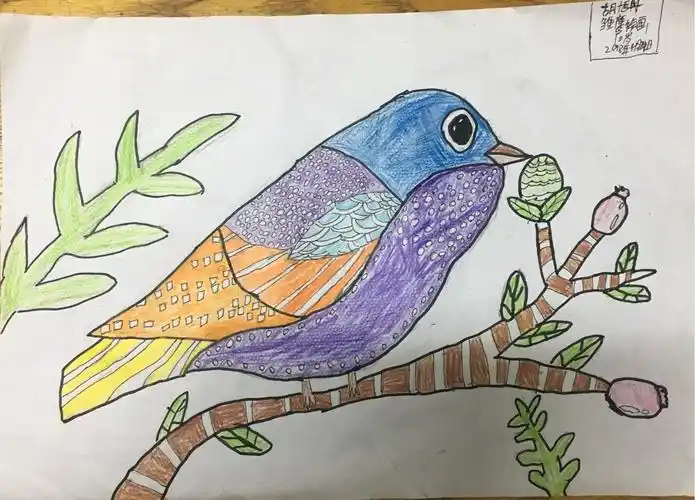 动漫初中级4月21日绘画作品—色彩斑斓的鸟儿