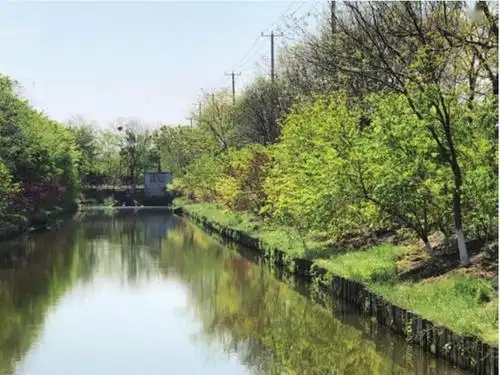 他来了他来了他带着作业本来了