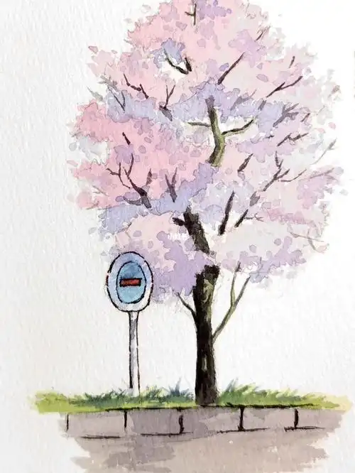 no.6 纯水彩樱花树