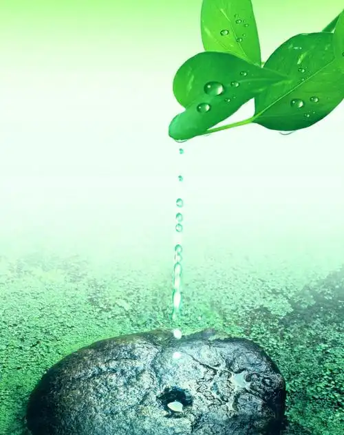 水滴不相信自己的脆弱,日复一日,年复一年,坚持不懈地撞击石块,终于