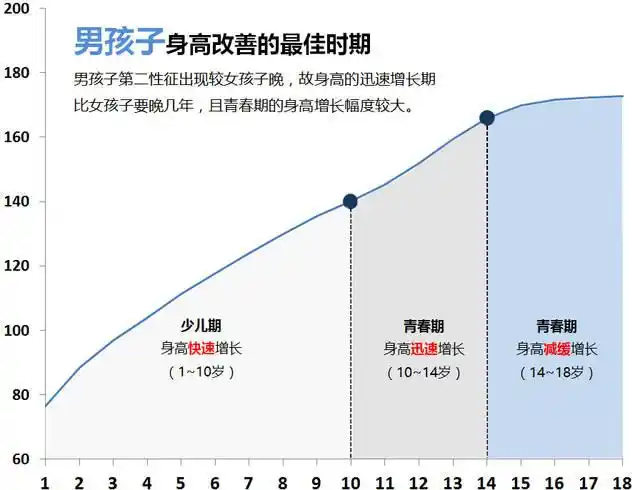 人一生中 身高增长最快的有两个时期,即 少儿期和 青春期.