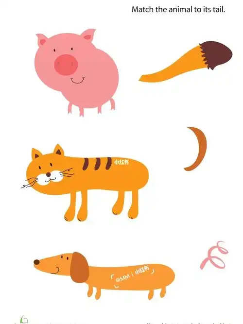 早教素材丨配对游戏找到动物的尾巴