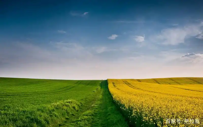 唯美风景壁纸,聆听大自然的美