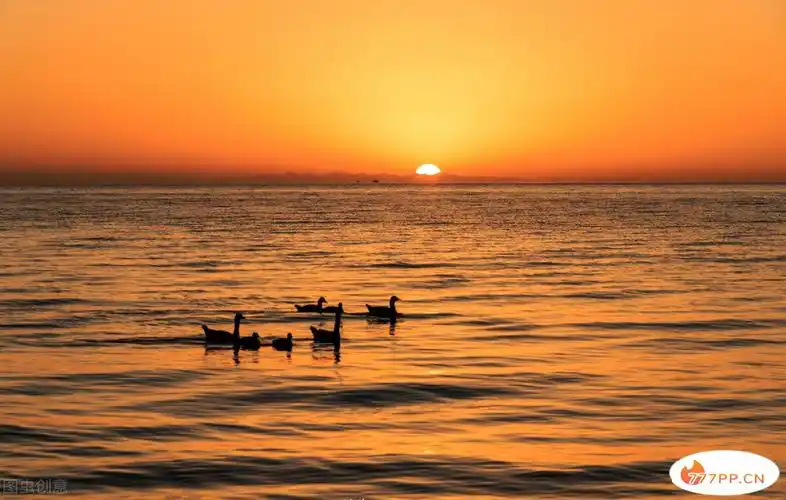推荐国内10个观看日出日落的最佳目的地,你最想和谁一起看呢?