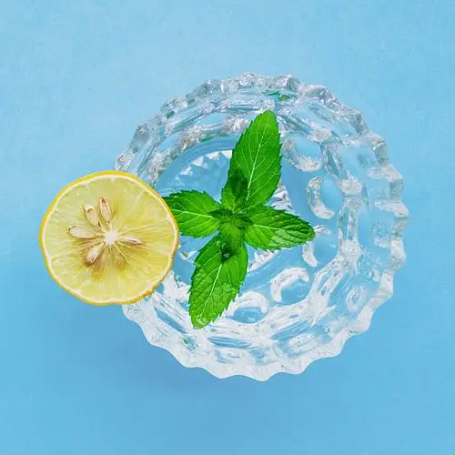 柠檬薄荷茶头像