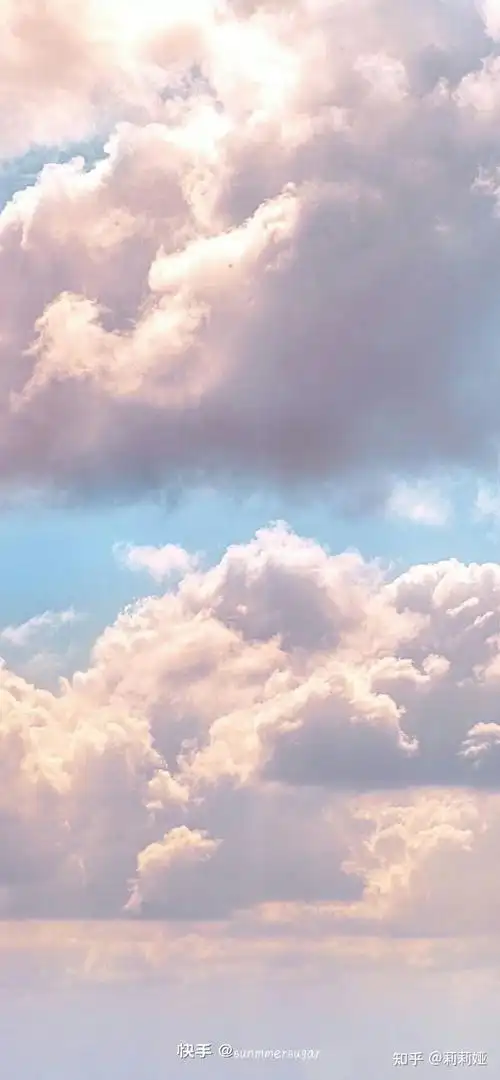 分享美图 - 知乎