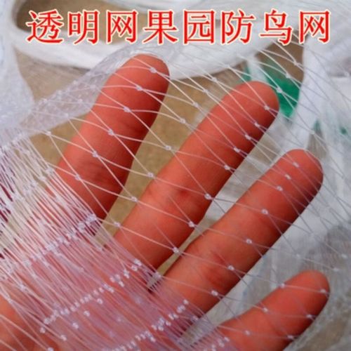康鸿麻雀捕捉自动网尼龙鸟网大棚果树樱桃葡萄梨树果园鸟用的网泥鳅养