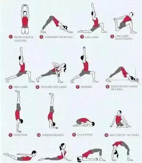 瑜伽体式的编排奥秘教练留存