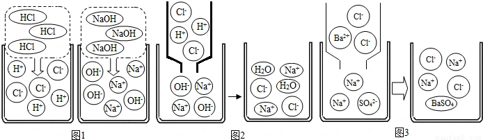 回答有关问题:(1)图1是hcl和naoh在水中解离出离子的示意图.