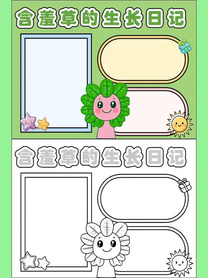 含羞草生长记录手抄报