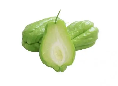 佛手瓜--chayote