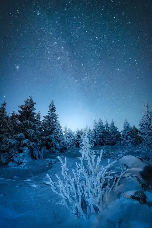 冰雪王国,夜晚天空映衬下的雪景图片下载