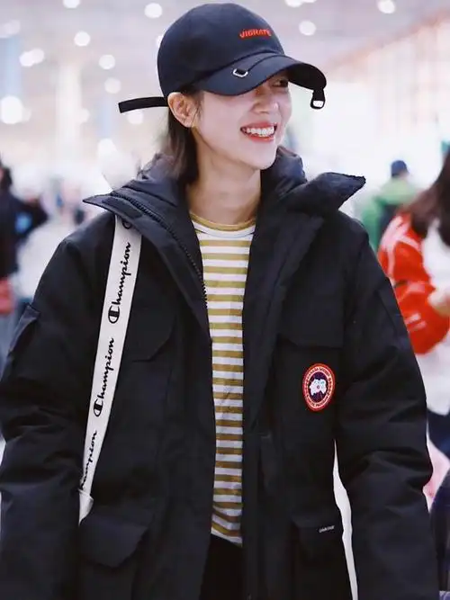 加拿大鹅是啥意思,加拿大鹅什么梗_上分宝