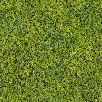 草皮3d贴图-自然纹理3d贴图下载-3dmax模型免费下载-欧模网