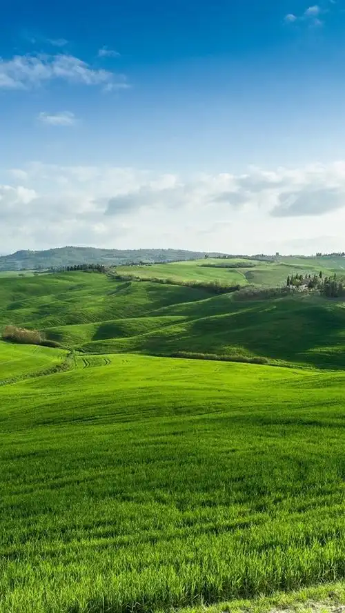 iphone 壁纸 绿色的田野,草地,自然