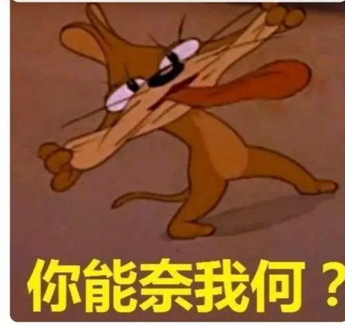 猫鼠国传奇之剑客杰瑞王者之路