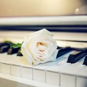 钢琴头像图片大全高清好看的钢琴唯美意境图片头像