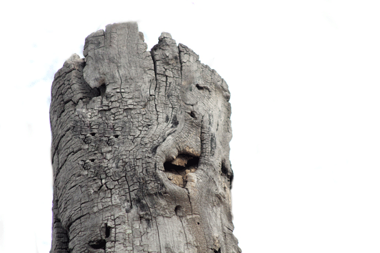 石头gif怪异gif眨眼gif神奇gif