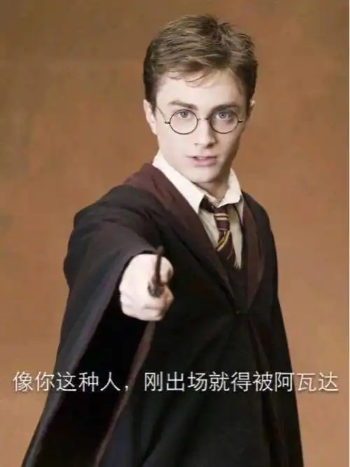 哈利波特表情图