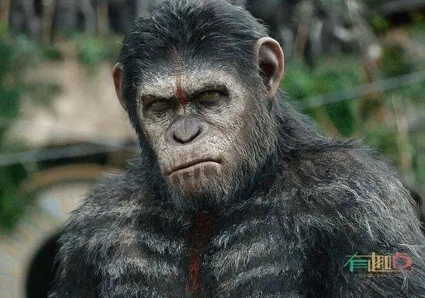 让劳拉用上海飞丝——电子游戏的"生发"技术