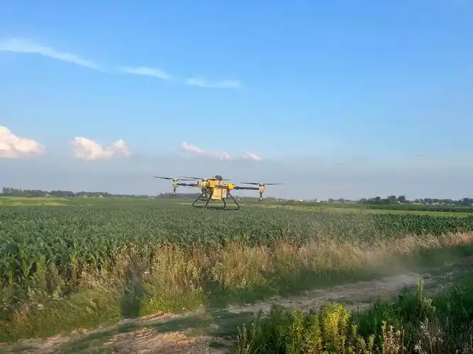 正阳:无人机农药喷洒 科技助农稳产增收-大象网
