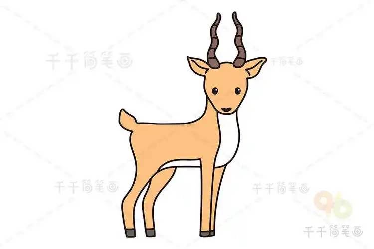 怎样画羚羊简笔画