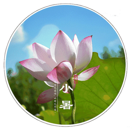 风扇呼呼财源送,清风刮来凉爽笑,夏雨阵阵消烦恼,好运不断紧围绕,夏日