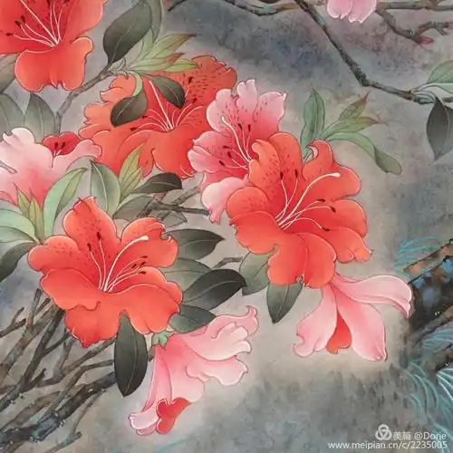 工笔花鸟画 杜鹃花