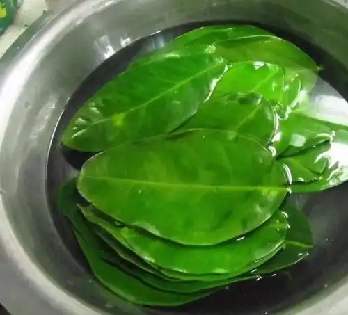 最近倒霉广东人让我用柚子叶洗澡