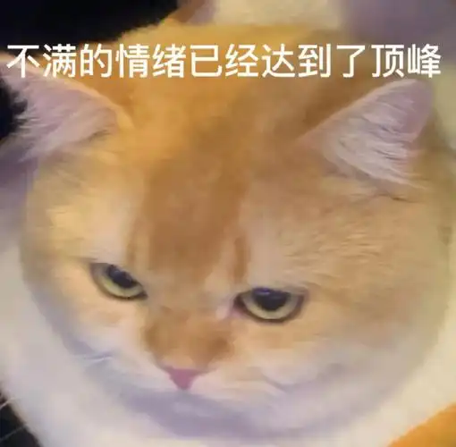 心情不好需要吐槽