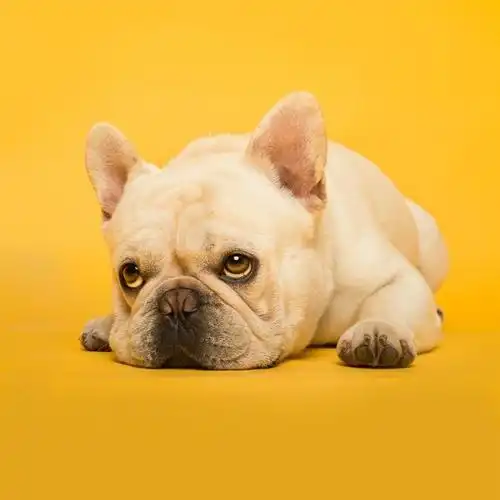 张钰哲1998的微博_微博