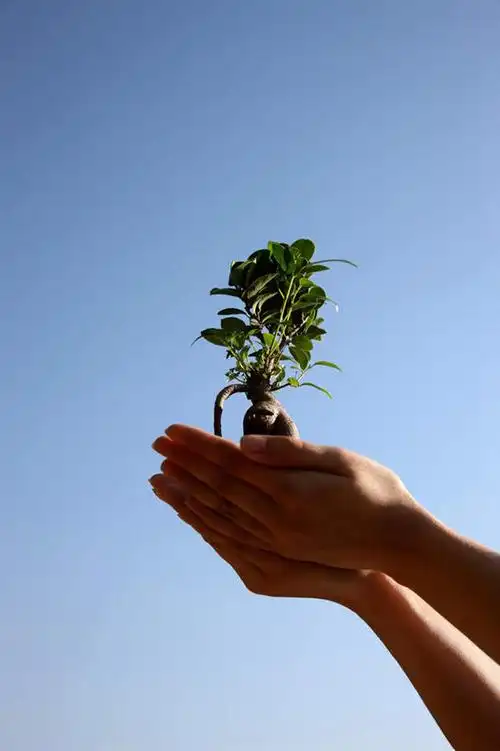 人文,旅游,休闲