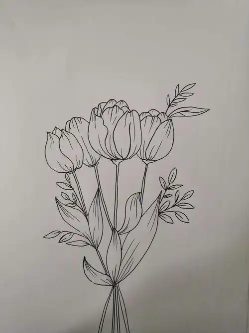 速写花1每日一练