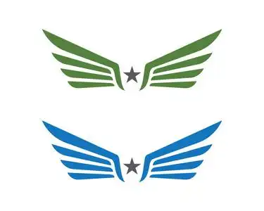 飞行徽标图片