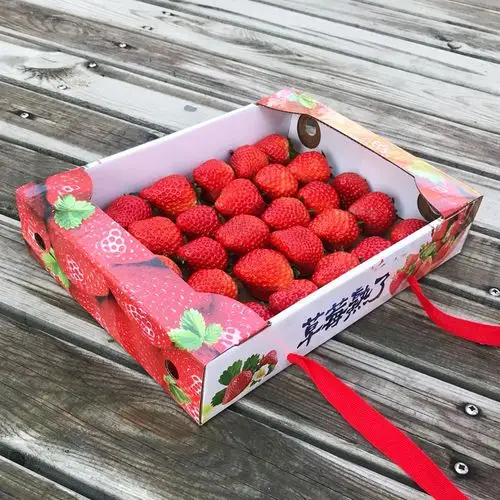 2-3斤有机草莓包装盒手提草莓包装草莓盒子精品高档草莓礼盒透明