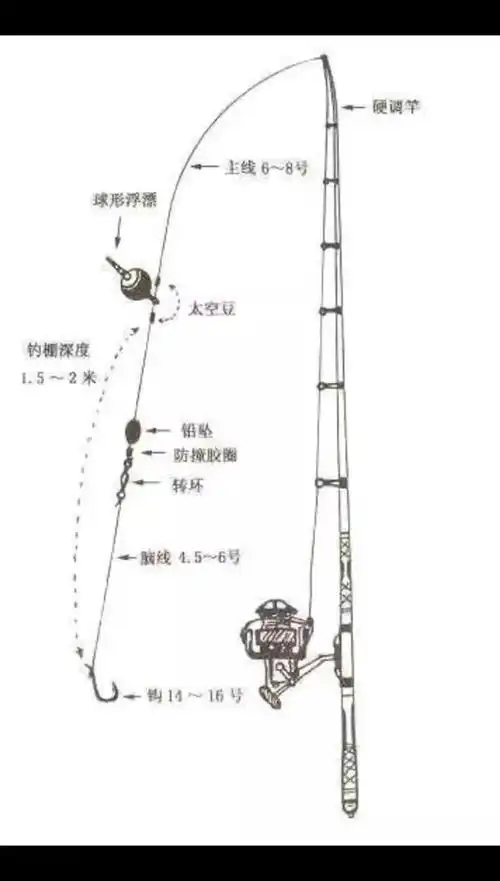 钓鲤鱼海竿线组最佳配置 - 抖音
