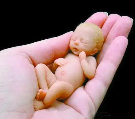 "婴儿饼干"你敢吃吗?