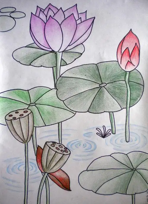 2011年暑期优秀作业展示 - 朱子书画培训中心 - 美术 书法